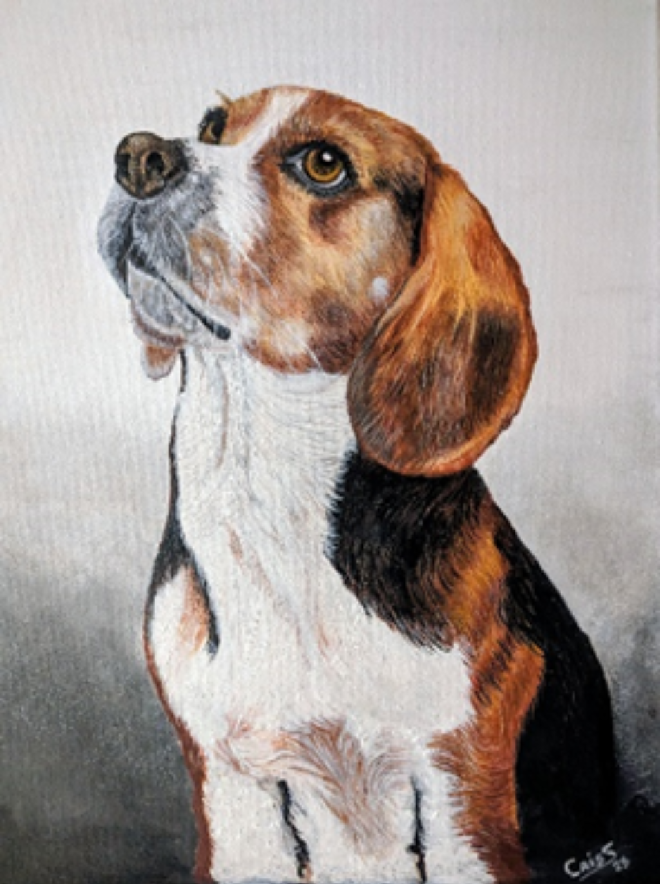 "Beagle, encantador e irresistible"