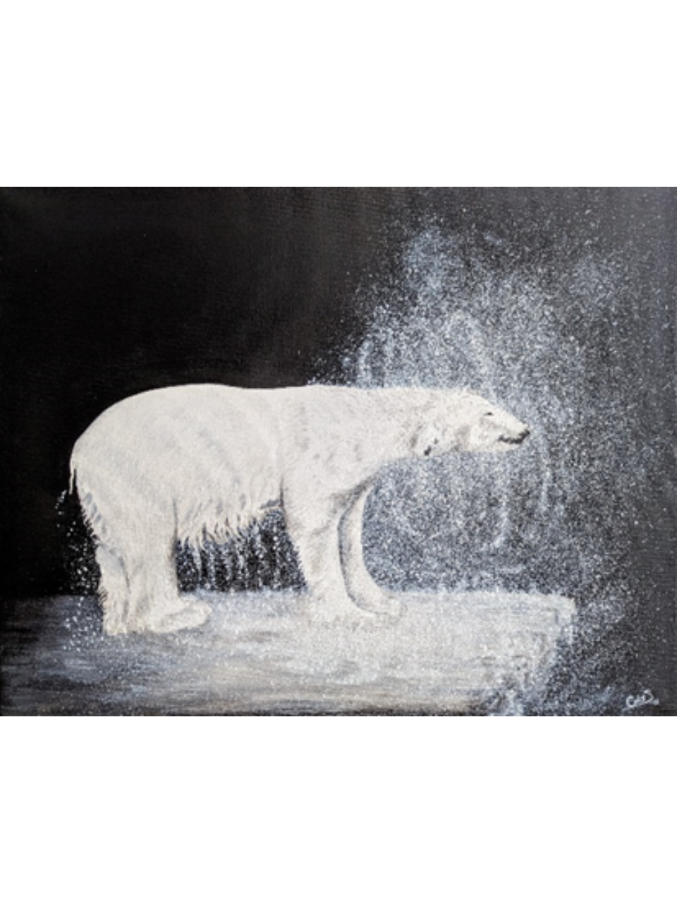 "Oso polar sacudiendo el Ártico"